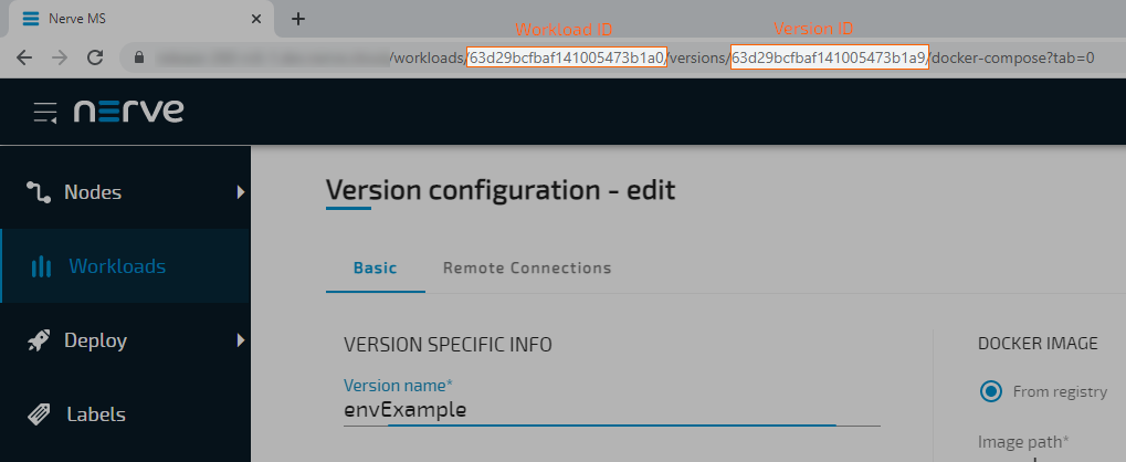 Workload ID and version ID in URL