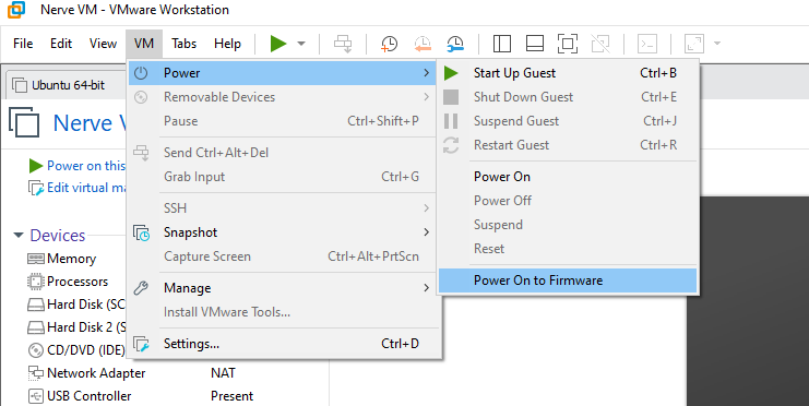 Select Power On to Firmware