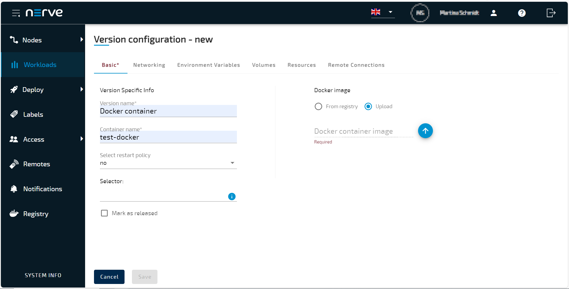 Provisioning a Docker workload - Nerve 3.0.0 Documentation