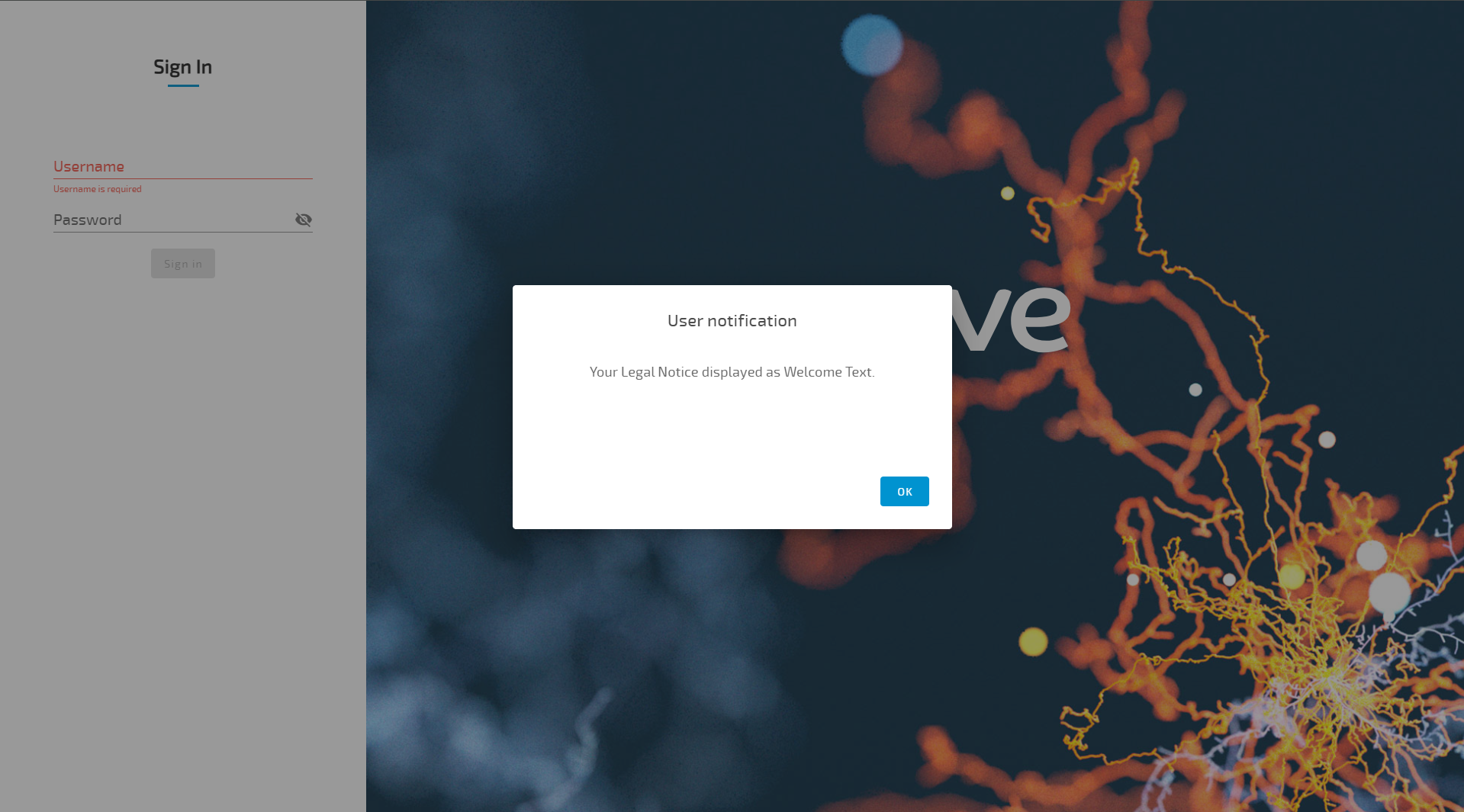 Local UI Login successful