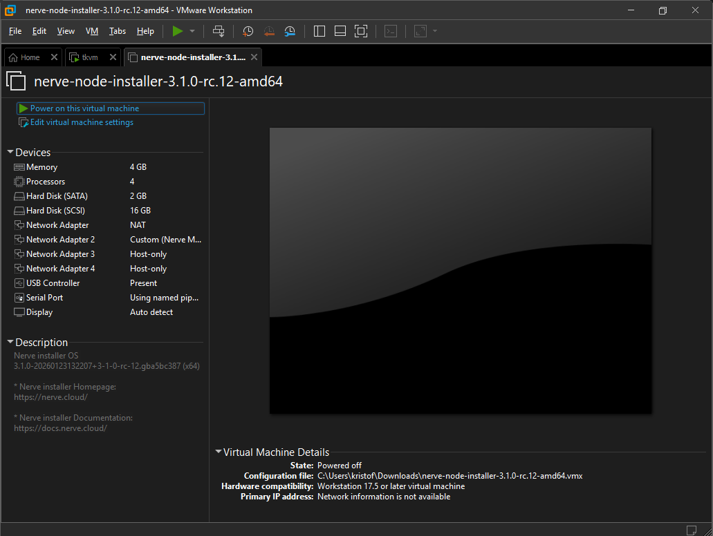 Power on this virtual machine
