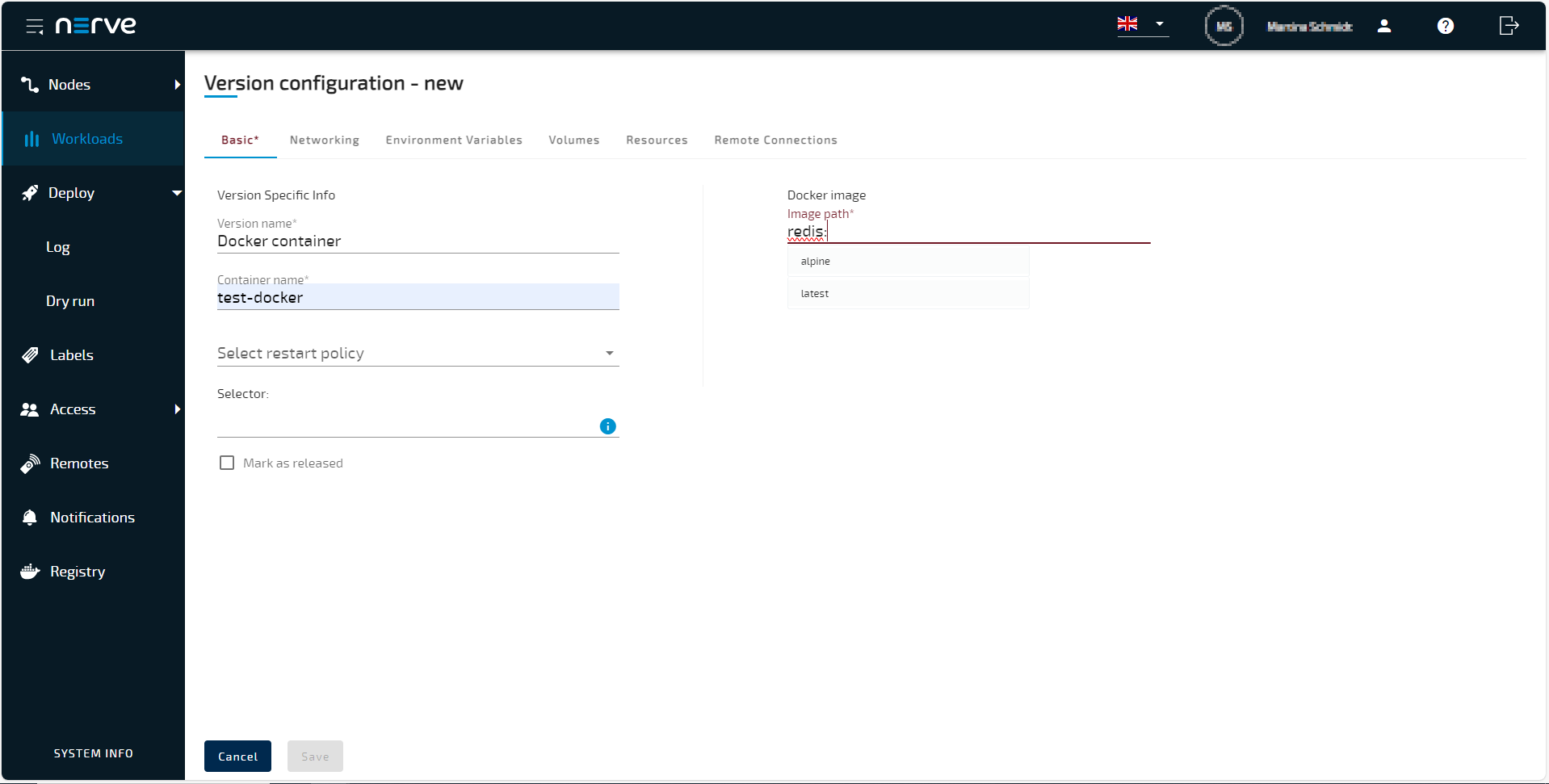 From Docker registry